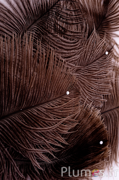 Plumes ornées de strass